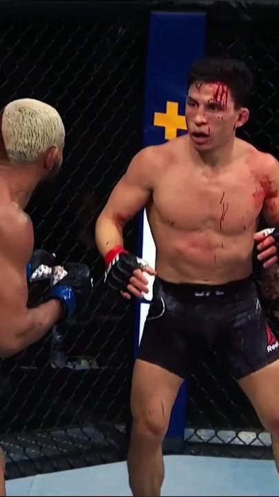 The best knockout