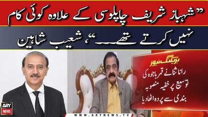 Shoaib Shaheen's reaction on Rana Sanaullah's statement