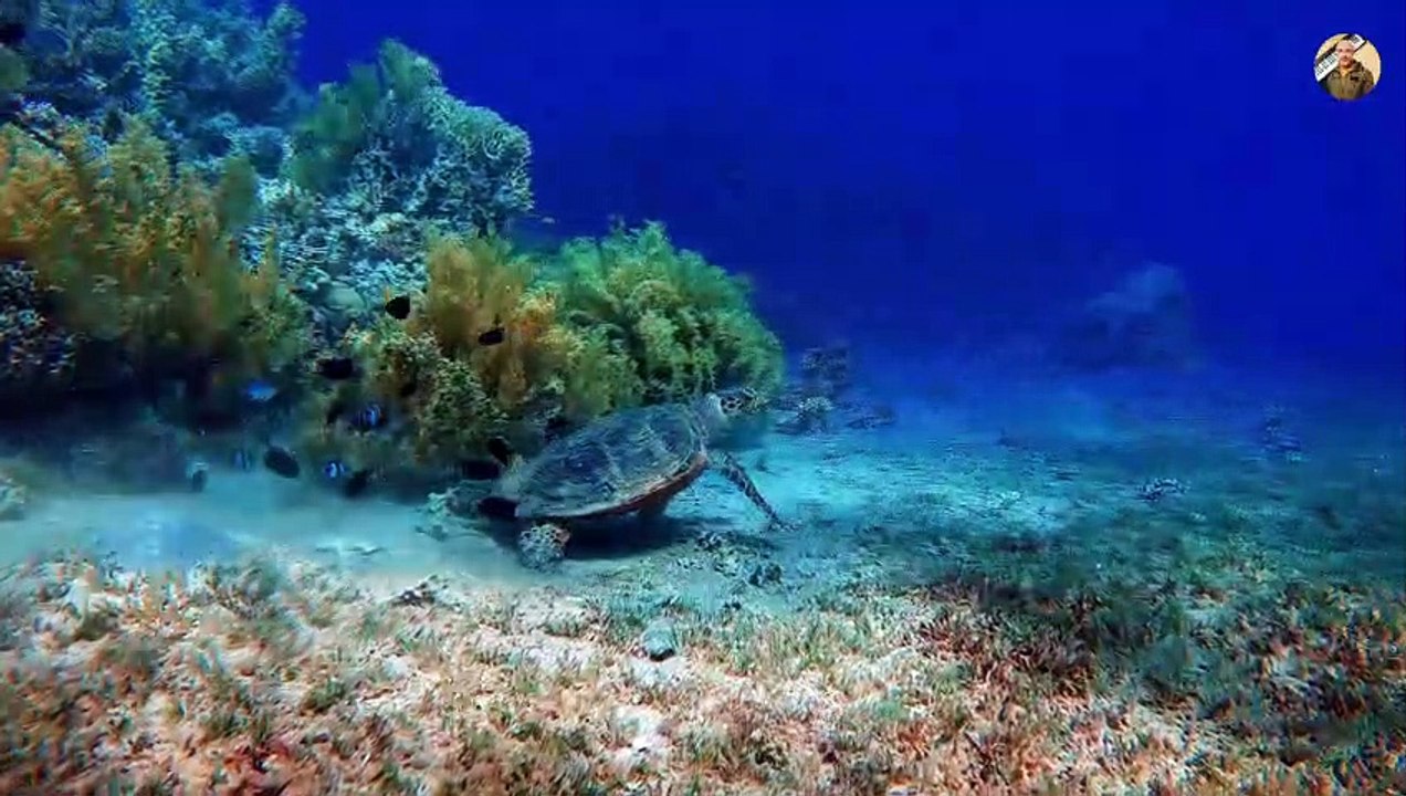 Deep Waters - Cinematic Music | Journey to the Mysterious World of the Seas