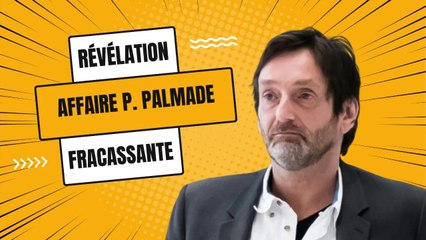 Affaire Palmade : Le bébé de la passagère était décédé avant l'accouchement nouveaux détails