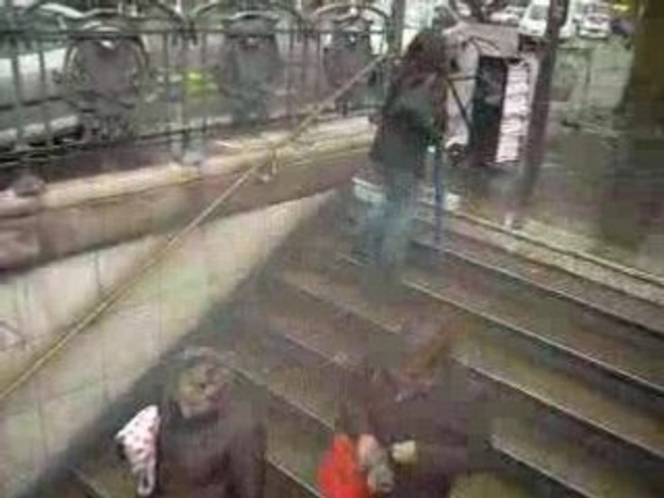 Veamos el movimiento en una estacion de Metro
