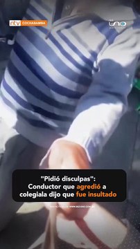 Chofer que agredió a colegiala pidió disculpas