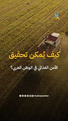 كيف يُمكن تحقيق الأمن الغذائي في الوطن العربي؟