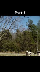 The Empty Man Pt.1 - Horror Escape Movie