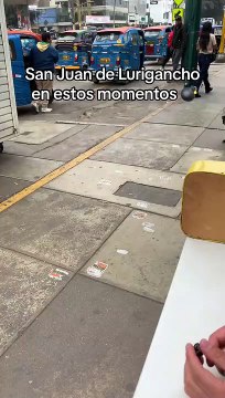 Armado hasta los dientes : Perrito causa furor por su peculiar vestimenta en SJL