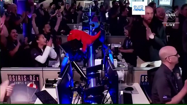 Recuperato il più grande campione di asteroide della storia