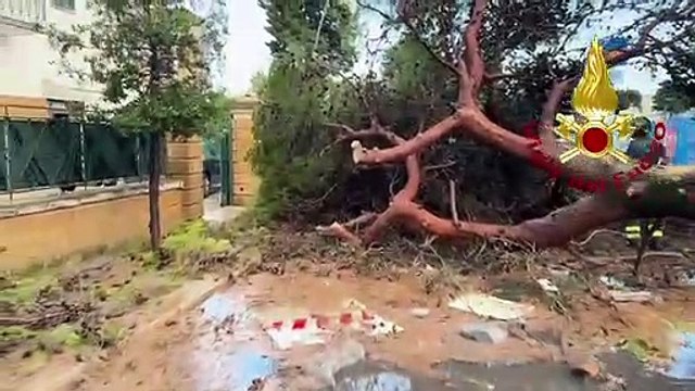 A Lecce alberi precipitano su auto, abbattuti dalla furia della tromba d'aria