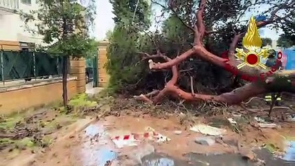 A Lecce alberi precipitano su auto, abbattuti dalla furia della tromba d'aria