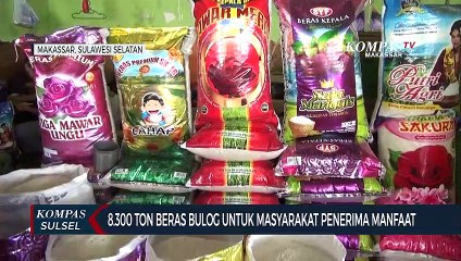 8.300 Ton Beras Bulog Untuk Masyarakat Penerima Manfaat