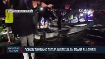 Pohon Tumbang Tutup Akses Jalan Trans Sulawesi