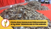 Polda Riau Gagalkan Perdagangan 41 Kg Sisik Trenggiling Di Pekanbaru