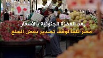 وقف تصدير بعض السلع.. قرار تواجه مصر به ارتفاع الأسعار الجنوني!