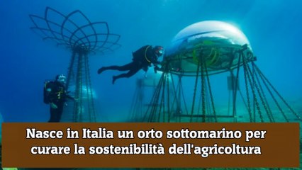 Nasce in Italia un orto sottomarino per curare la sostenibilità dell'agricoltura