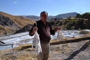 Tunceli'nin Pülümür ilçesinde doğal kaynak tuzları büyük rağbet görüyor