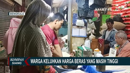 Bansos di Berbagai Daerah Belum Efektif Turunkan Harga Beras, ini Alasannya