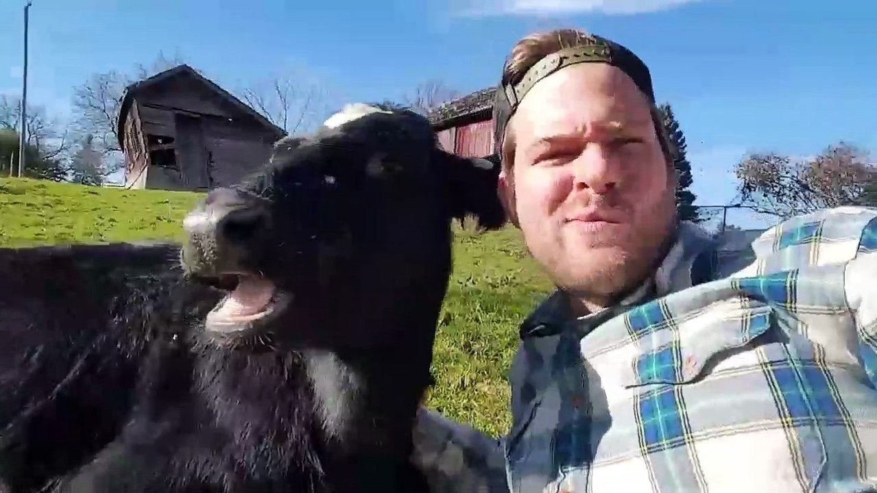 The Most Entertaining Farm Animals You'll Ever See Guaranteed to Make You Smile