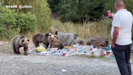 Vatandaşlar, ayıların saldırısına aldırış etmeden, görüntü almaya çalıştılar