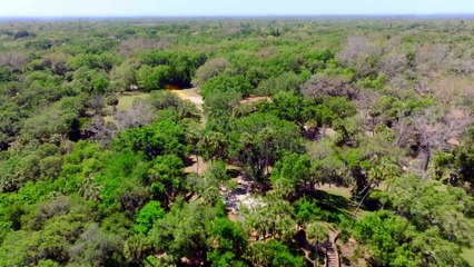 R.A.D.A.R. The Bionic Dog (2023) Official Trailer