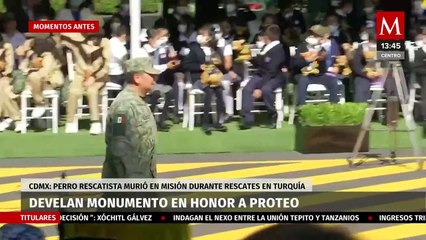 Develan monumento en honor a Proteo, perro rescatista que murió en labores en Turquía