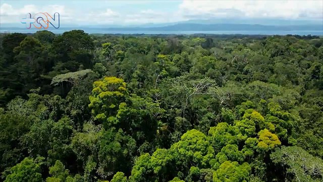 mqn–corcovado–1–200923