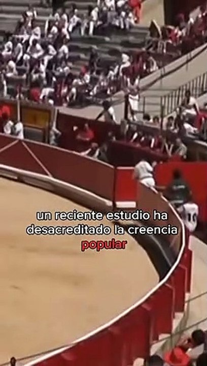 Los toros no odian el color rojo