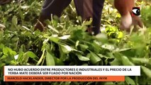 No hubo acuerdo entre productores e industriales y el precio de la yerba mate deberá ser fijado por Nación