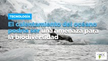 El calentamiento del océano podría ser una amenaza para la biodiversidad