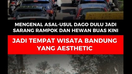 Mengenal Asal-Usul Dago, Dulu Jadi Sarang Rampok dan Hewan Buas. Kini Jadi Tempat Wisata Bandung yang Aesthetic