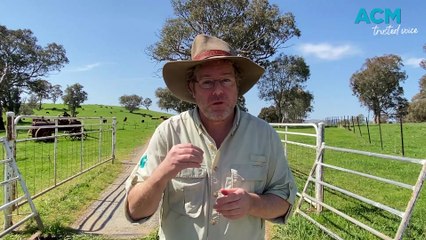 Tim The Yowie Man explores 'Watson's Bottle', a subterranean silo near Yass