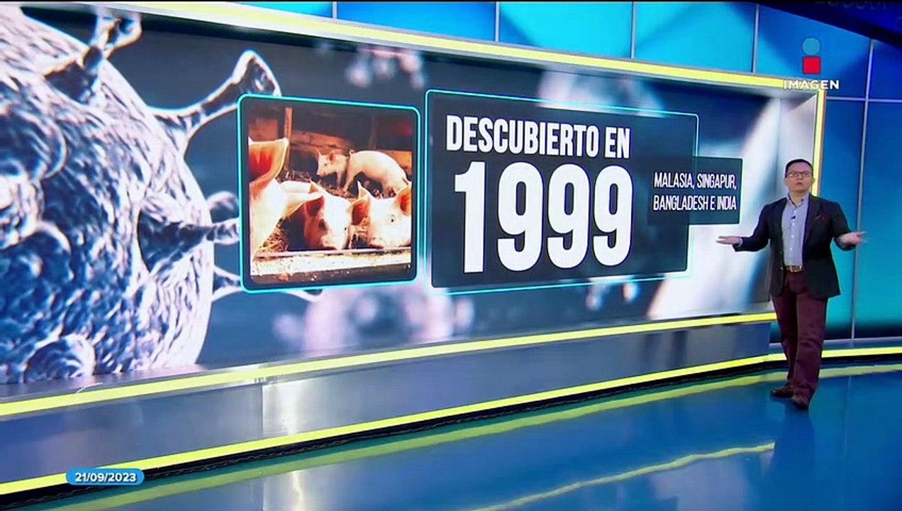 ¿Qué se sabe del virus Nipah?