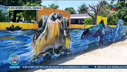 Imparable el saqueo de huevos de tortuga en playas de Oaxaca