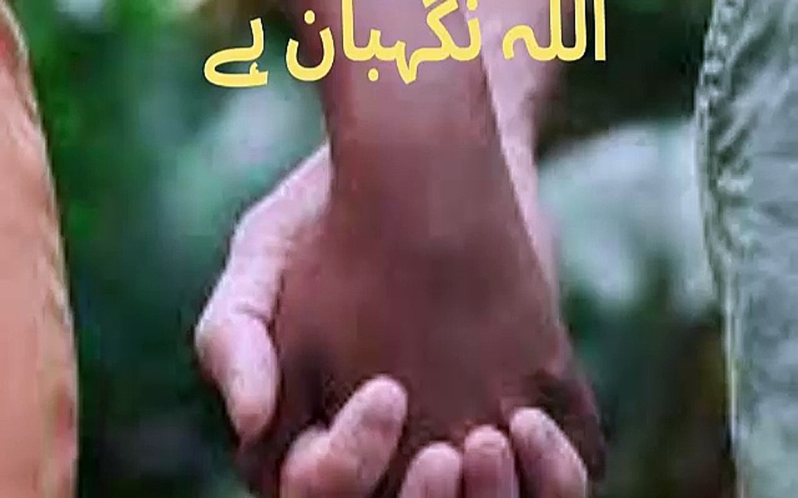 اللہ نگہبان ہے