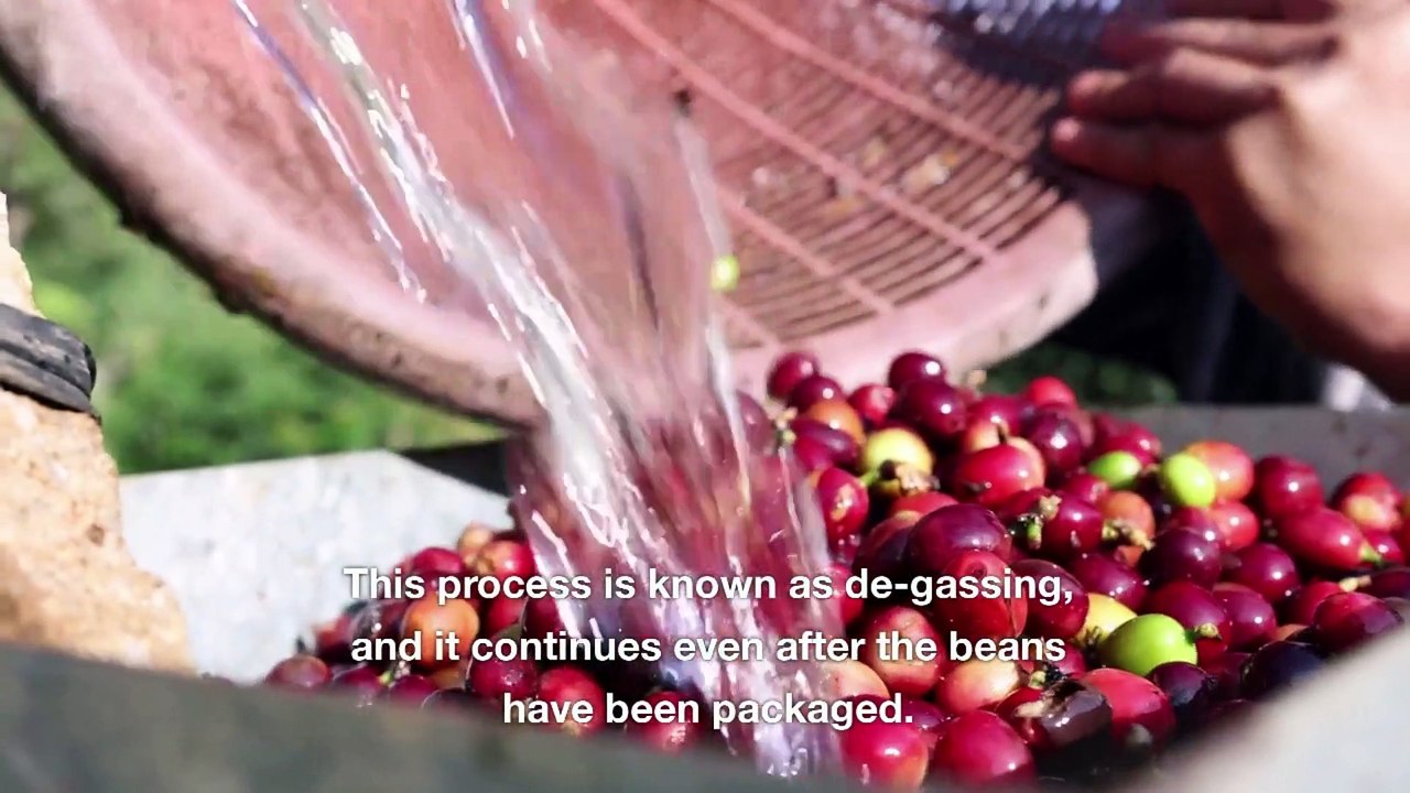Here’s What That Hole in Your Coffee Bag Is For