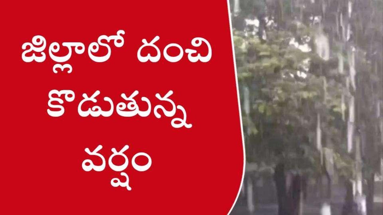 ములుగు: జిల్లాలో దంచి కొడుతున్న వర్షం