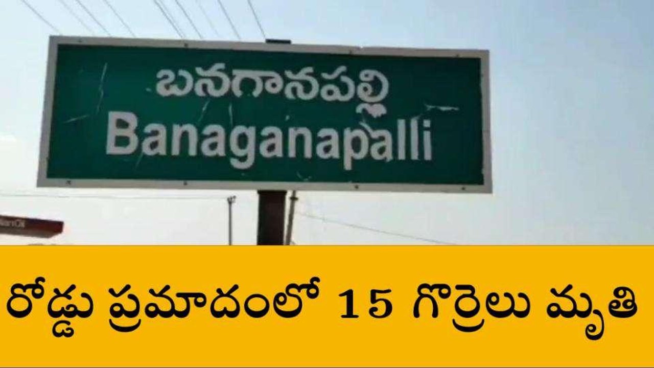 నంద్యాల జిల్లా: గొర్రెల మందపైకి దూసుకెళ్లిన లారీ