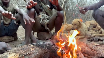 Hadzabe Tribe - The Masters Of The Forest Made It Again