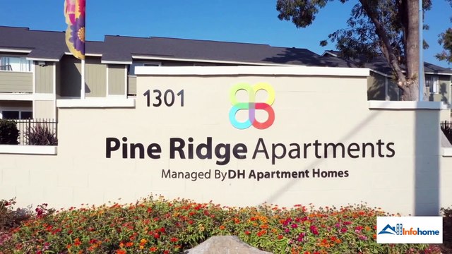 Pine Ridge: Contact, Pricing, Location, Apartment Features & More