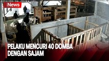 Komplotan Pencuri Puluhan Domba Beraksi Ala Ninja di Cianjur Ditangkap