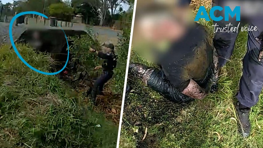 An alleged car thief has been arrested after being tracked to a drain, where he was attempting to evade police, in parklands near Kayo Stadium in Moreton Bay, Queensland.