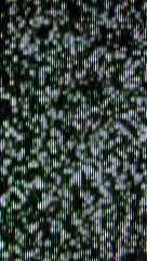 Fingerboard or die  Je ride maintenant pour Nora Skateboard 