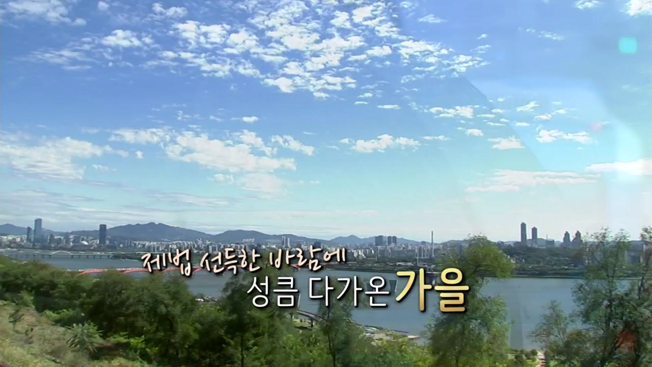 [영상] 제법 선득한 바람에 성큼 다가온 가을...추석 보름달도 두둥실 / YTN