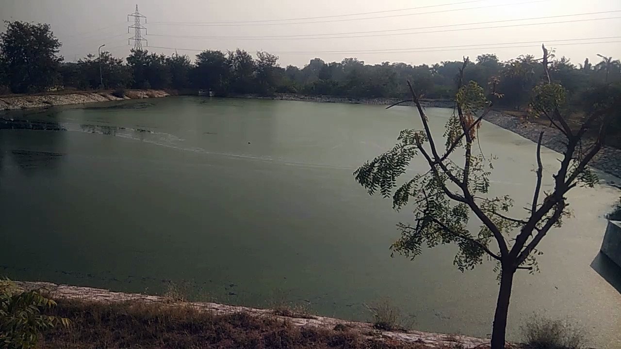 एसटीपी अपग्रेड पर खर्च करेंगे 8 करोड़, सीवरेज क...