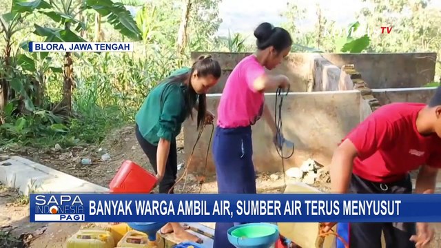 Dampak Kemarau Panjang, Warga Terpaksa Ambil Air Keruh hingga Minum Air Pohon Pisang