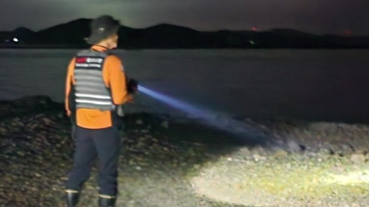 충남 태안 야간 해루질하던 60대 실종...수색 중 / YTN