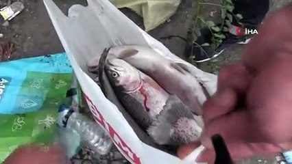 Balık kafesleri yırtıldı, oltasını alan soluğu orada aldı