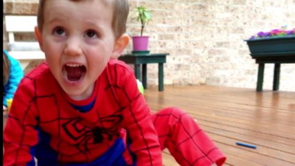 Coronial inquest into disappearance of William Tyrell to resume next year