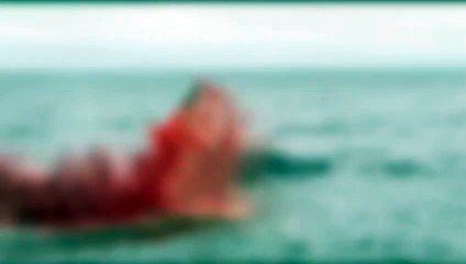 Devasa balina patladı: O anlar saniye saniye kaydedildi