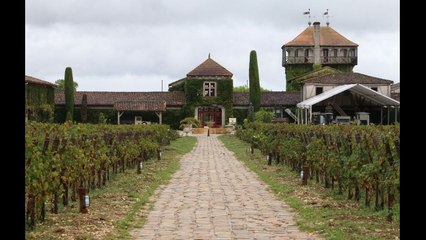 Pourquoi le couple royal visite-t-il Le pain de l’amitié et un grand cru ?