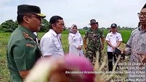 Motivasi Tanam Bawang PJ. Gubernur Banten - Bawang Banten