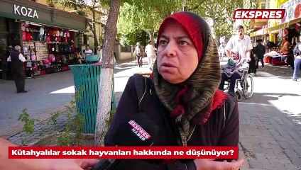 Kütahyalılar sokak hayvanları hakkında ne düşünüyor?